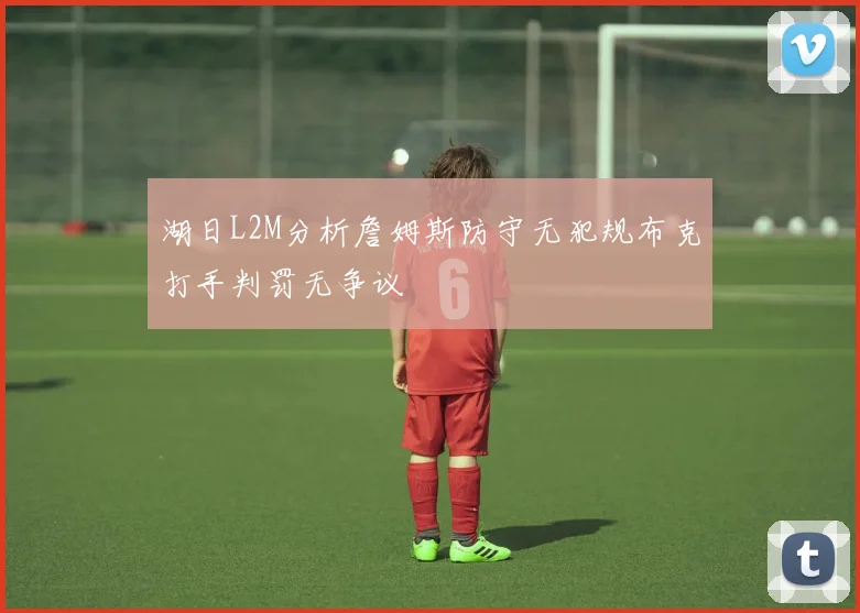 湖日L2M分析詹姆斯防守无犯规布克打手判罚无争议
